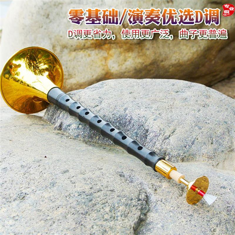 平均孔唢呐乐器传统降b调大中小号黑檀乌木不定调D演奏黄铜镀金碗
