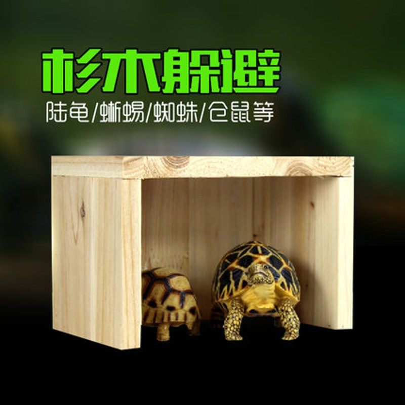 乌龟躲避陆龟箱子保温箱宠物躲避洞穴龟窝龟洞杉木洞爬虫躲避实木,宠物/宠物食品及用品,爬宠缸/箱,淘宝优惠券,粉丝福利购,淘宝优惠卷