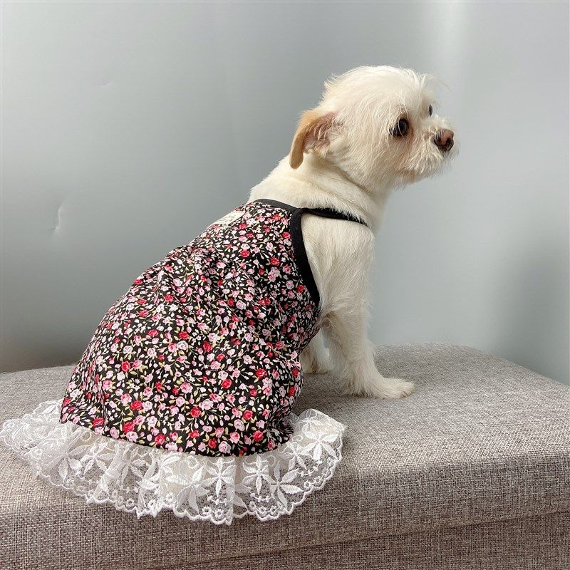 宠物纸样狗狗夏天衣服小型犬夏季裙子样版博美泰迪比熊吊带裙图纸,宠物/宠物食品及用品,猫宠物服装/雨衣（新）,淘宝优惠券,粉丝福利购,淘宝优惠卷