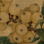 南宋林椿枇杷山鸟图高清艺术微喷宋代花鸟画工笔临摹画稿学习底稿