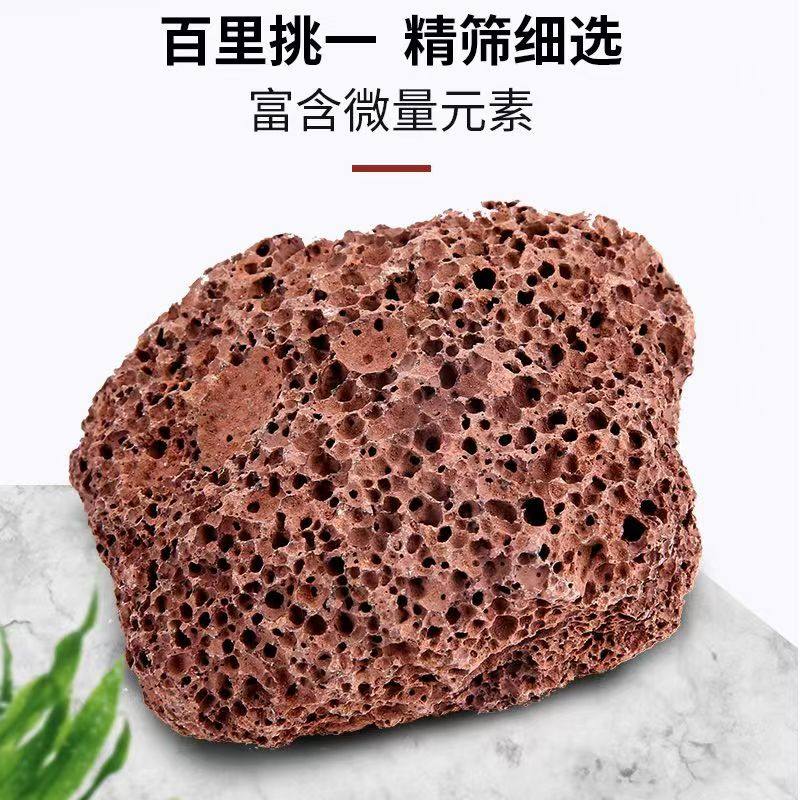 火山岩麦饭石鱼缸天然过滤材料火山石水族造景滤材底床罗汉鱼专用,宠物/宠物食品及用品,过滤材料,淘宝优惠券,粉丝福利购,淘宝优惠卷