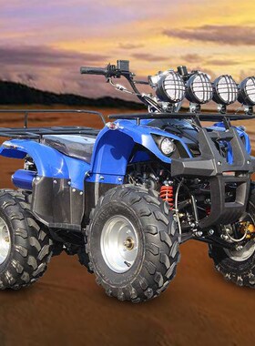 朝阳正新ATV轮胎19/20/21/22/25/26x6/7/8/9-10R12寸沙滩车真空胎