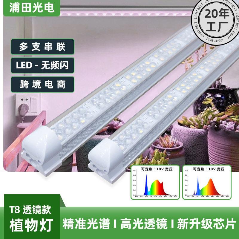 透镜款多肉全光谱植物生长灯花卉上色防徒水培育苗植物补光灯LED
