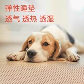 加厚狗睡垫透气透水防潮弹性防褥疮术后恢复后腿瘫痪可洗夏天凉席