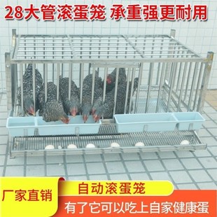 鸡下蛋的笼子养鸡专用笼子大室外养鸡棚不锈钢养鸡笼家用自动滚蛋