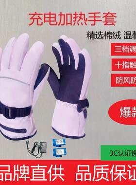 充电式骑行电加热手套摩托车电动车冬季保暖防风防水电暖电热手套