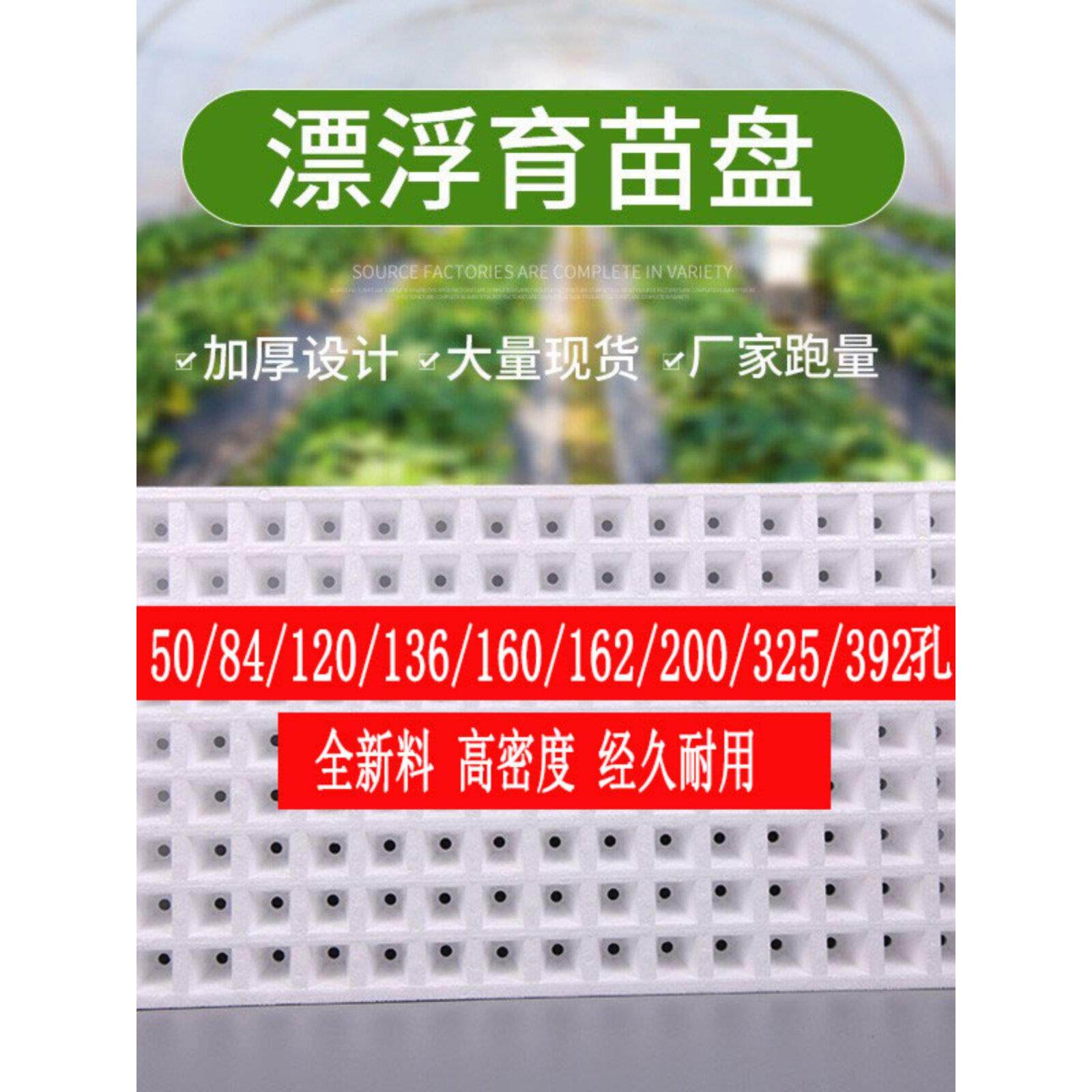 泡沫漂浮育苗盘穴盘蔬菜水培盘育苗盘白色泡沫盘辣椒专用苗盘