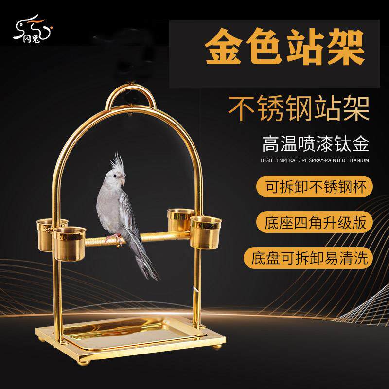 土豪金/银色不锈钢鹦鹉站架/鸟架子大中小型鹦鹉架挂立两用好质量