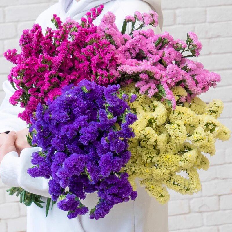 云南天然风干勿忘我鲜花干花真花花束插瓶装饰客厅卧室半干花材