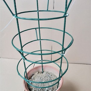 蟹爪兰仙人掌嫁接球兰花架支架攀爬园艺固定架支撑架高100组装