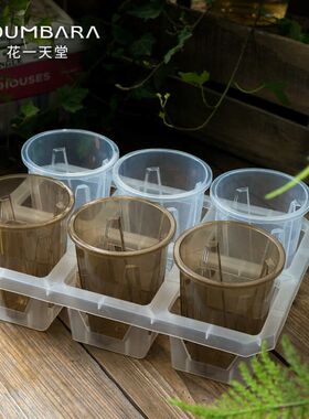 10cm蝴蝶兰塑料高透观根盆组合托架热植月季秋海棠角堇水苔花盆