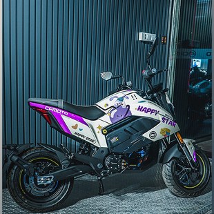 适用于春风电动狒狒Papio Nova全车改装贴纸定制车身贴花版画版花