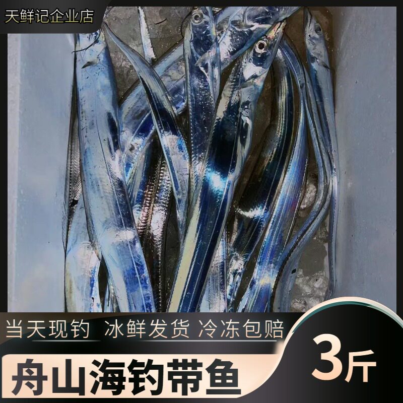舟山带鱼新鲜海钓大带鱼刀鱼东海小眼睛带鱼冰鲜整箱顺丰包邮