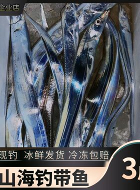 带鱼新鲜舟山整箱顺丰包邮