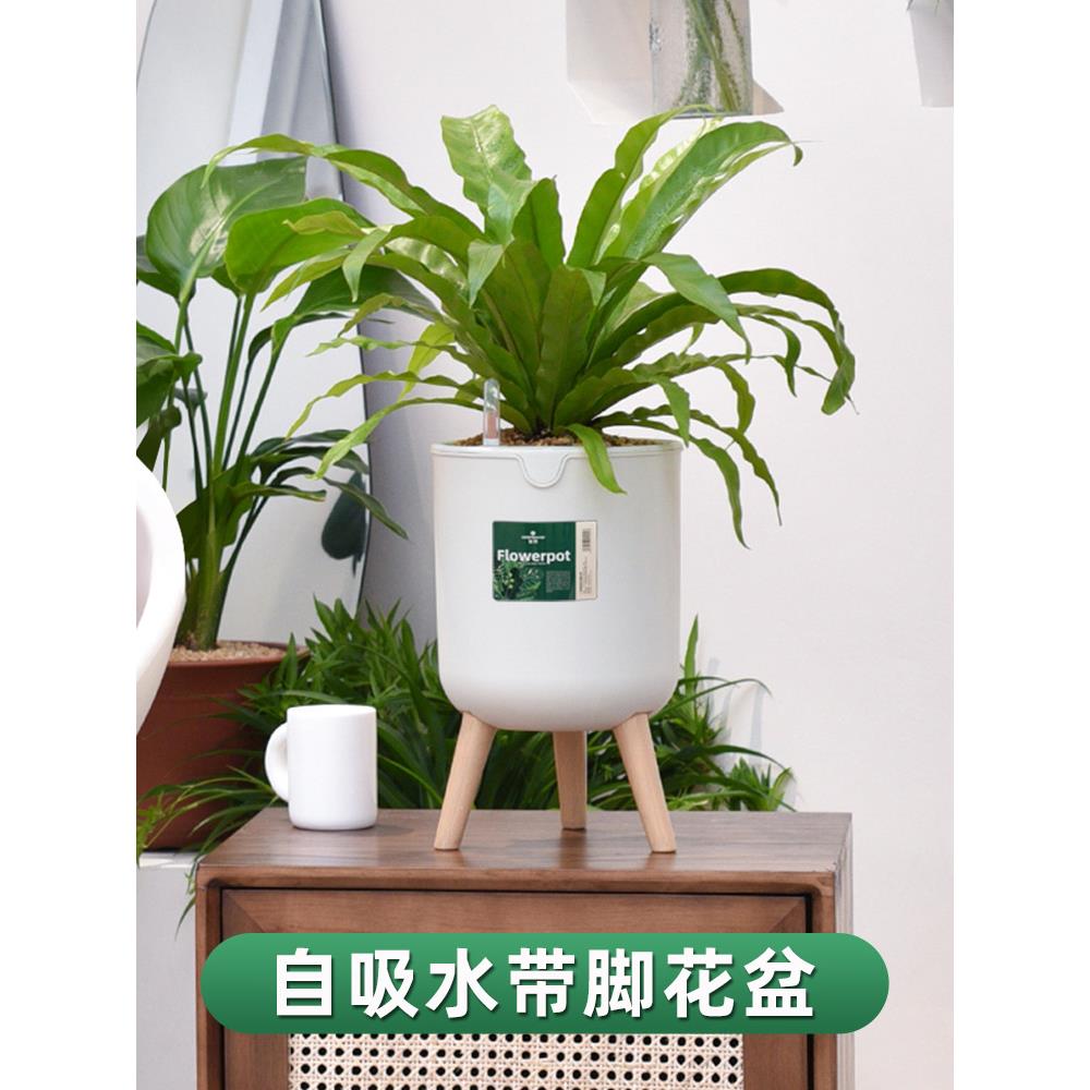 申邦现代无障碍豪华客厅带脚花盆自动吸水支架绿色植物大型简约创