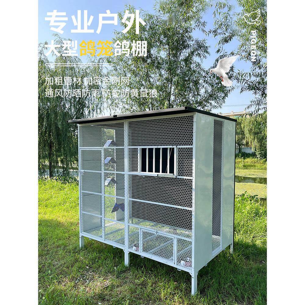 信鸽繁殖笼大型金属防雨防晒鸽笼赛鸽配对抱窝 户外加厚烤漆鸽棚