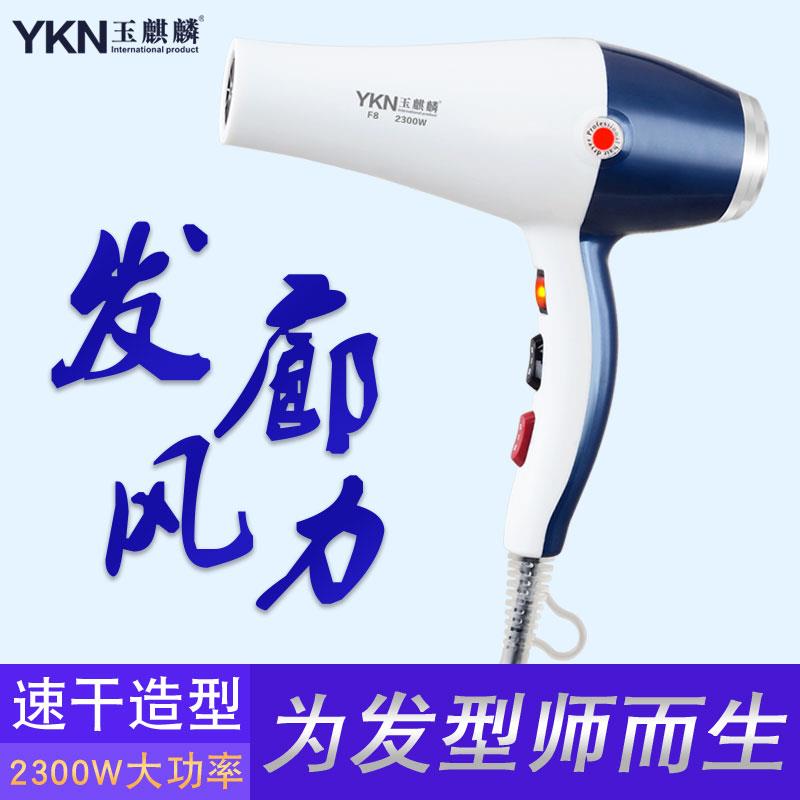 玉麒麟F8吹风机家用理髲店发廊发型师美发专用静音吹风机筒专业