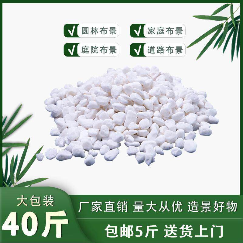 白色鹅卵石园林景观庭院铺路雨花石鱼缸造景多肉盆栽装饰白色石子