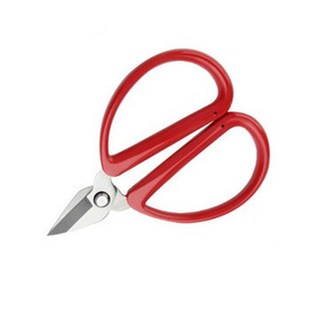 不锈钢指甲剪刀个人护理修脚趾甲老人小剪刀线头剪尖头剪刀