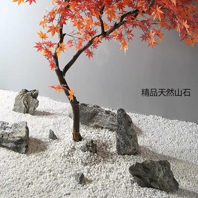 白石子装饰松树多肉花盆铺地园林枯山水白色小石头造景装饰