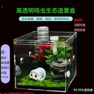 小跳蛛饲养盒螳螂饲养盒跳蛛饲养盒蛐蛐罐螽斯笼扎嘴黄蛉鸣虫生态