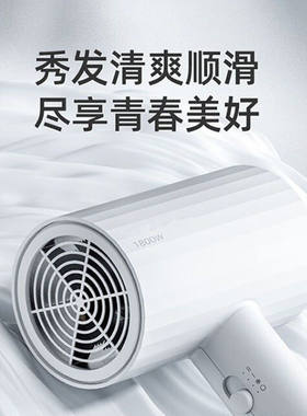 飞科旗下博锐吹风机家用恒温护发电吹风宿舍用速干便携大功率吹发