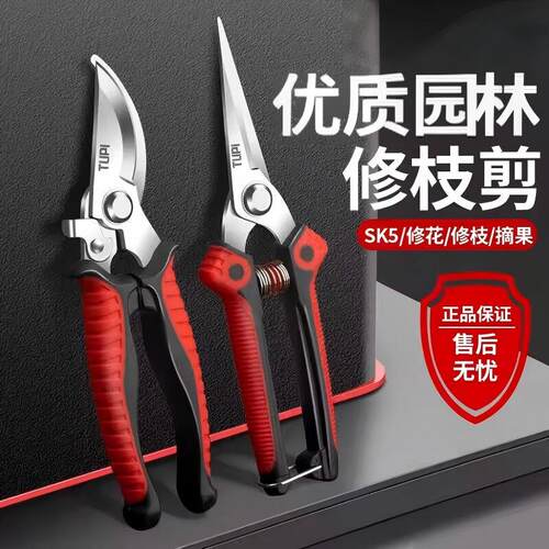 剪刀修枝剪果树剪枝专用SK5不锈钢树枝修剪园艺工具剪花艺强力