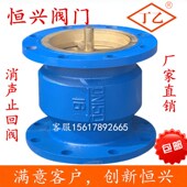 HC41X 150 单向逆止阀DN40 100 200 16法兰消声止回阀