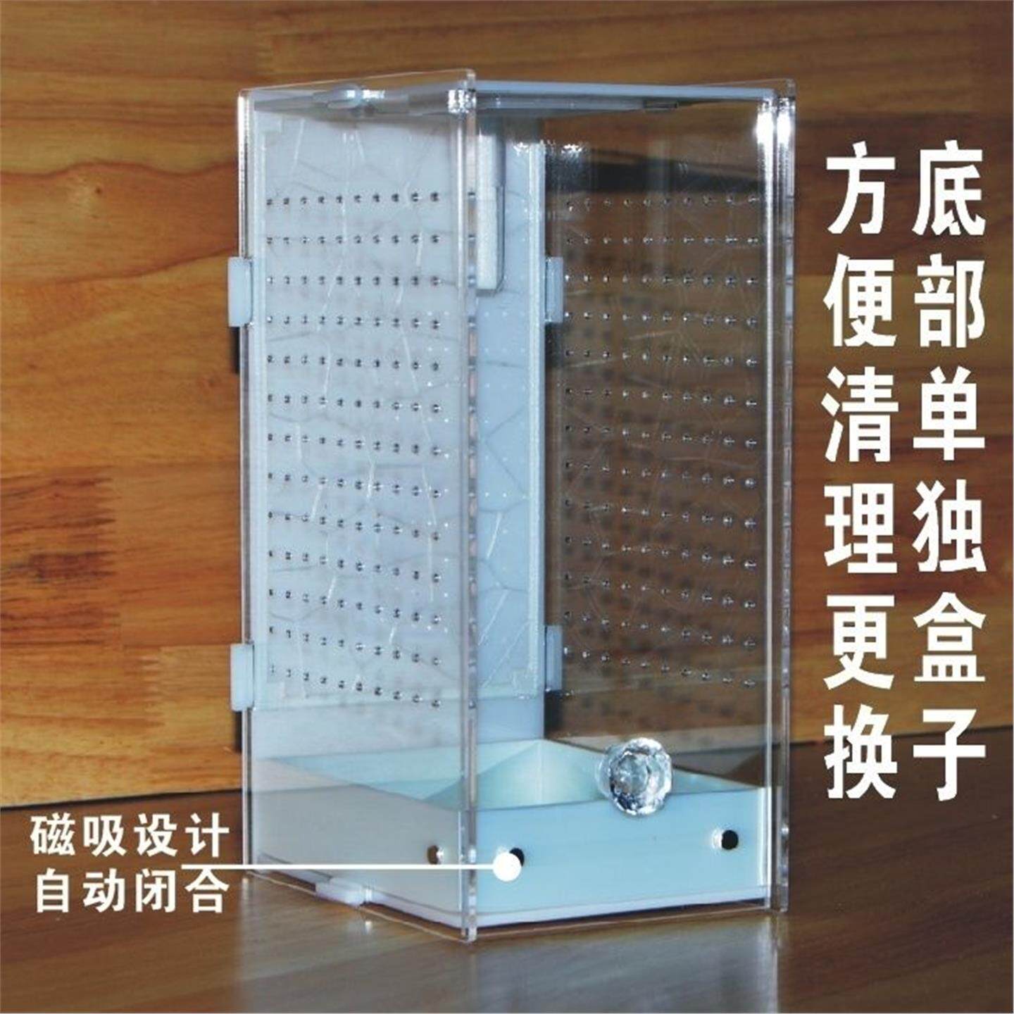 蛉盒竹蜘蛛饲养磁吸门箱树