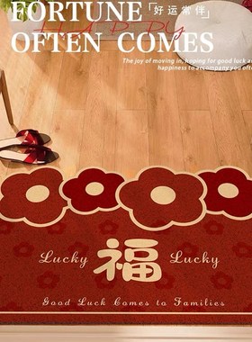 新年红色丝圈入户地垫耶诞苹安果气氛门垫防滑刮泥蹭土脚垫可裁剪