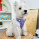 狗狗胸背牵引绳猫咪胸背带小狗胸背式 狗绳遛狗宠物柯基比熊雪纳瑞
