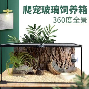 BG鬓狮蜥蜴饲养箱雨林造景生态玻璃饲养缸爬宠豹纹瘤尾守宫饲养盒