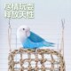 宠尚天鹦鹉秋千玩具攀爬鸟笼站架吊床啃咬磨爪草编玄凤鸟用品大全