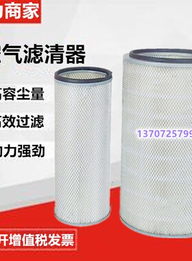 寿力空压机LS25S-250/300空气过滤器88290001-466/88290001-467