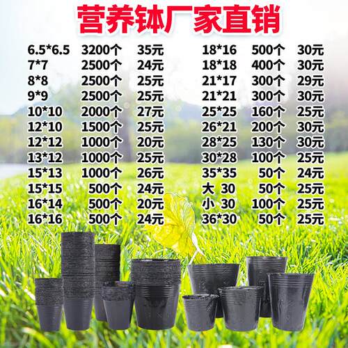 营养杯育苗杯黑色营养钵一次性黑色营养袋育苗袋育秧碗塑料育苗盆