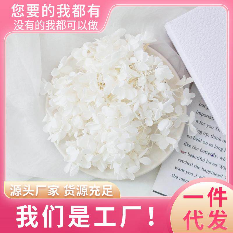 永生花A级木绣球DIY材料成品干花花材保鲜花压花花艺不凋谢手工花
