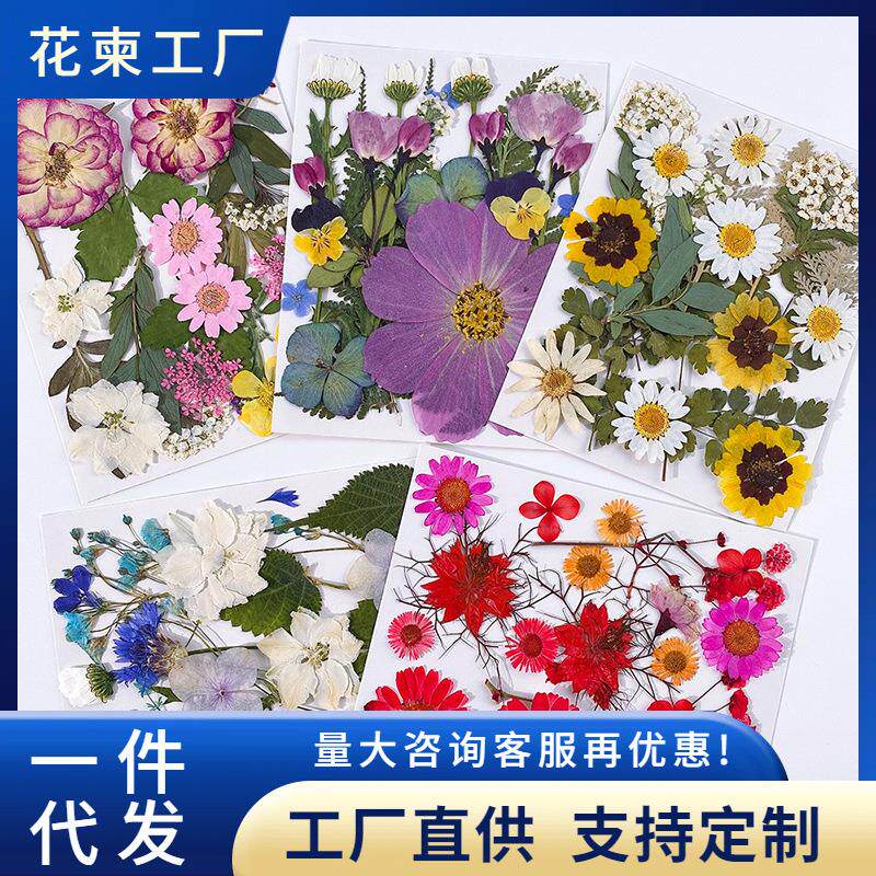 干花压花diy押花材料包滴胶干树叶真花混装干花花材植物标本合集