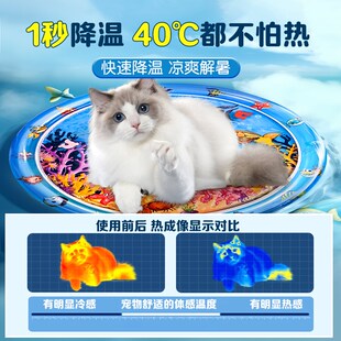 夏季猫咪水床垫宠物注水冰凉垫大号充气加厚防抓狗狗夏天睡垫专用