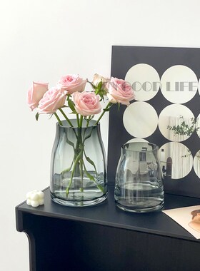 轻奢矮胖玻璃花瓶透明水养玫瑰插花器高级感装饰门店客厅摆件网红