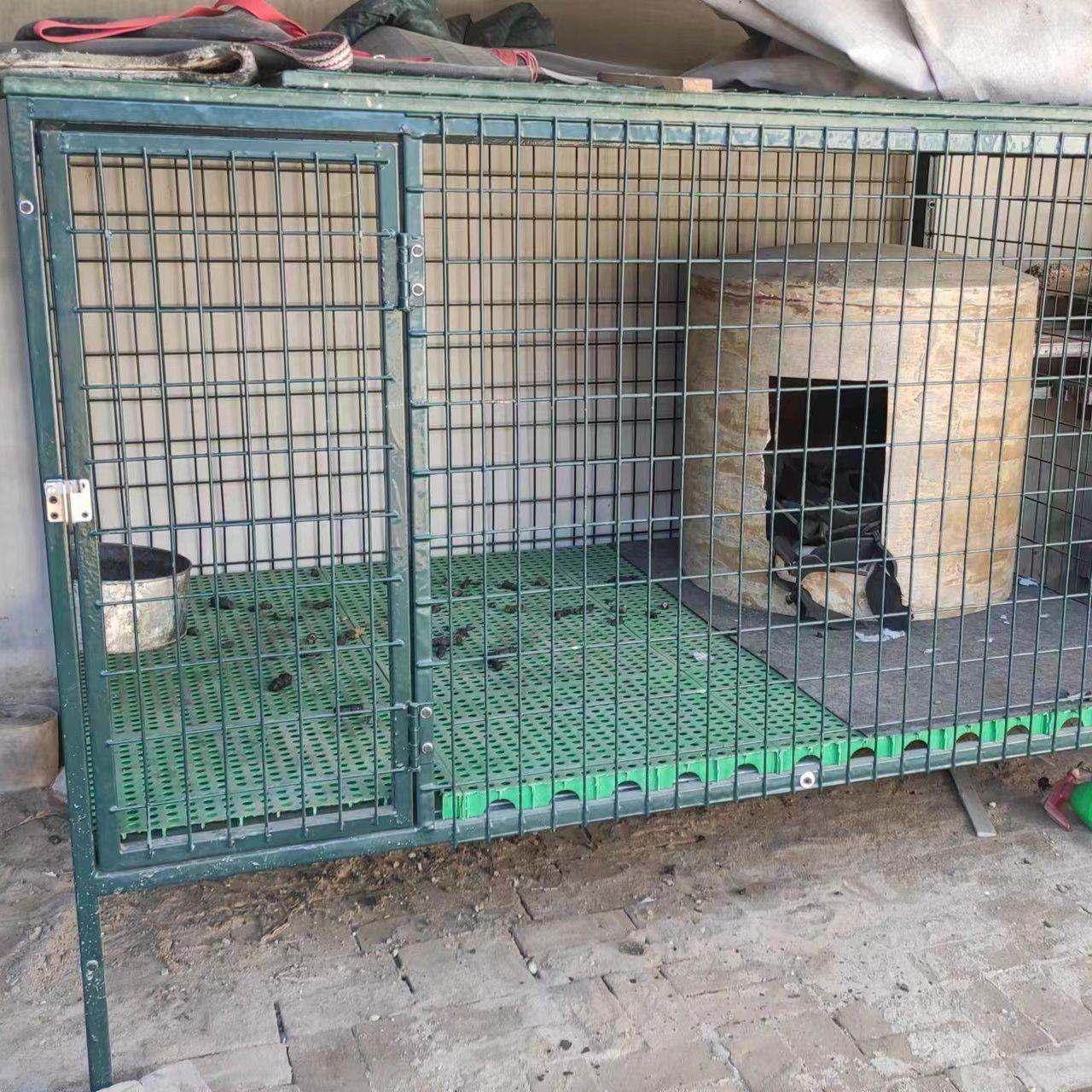 钢丝网加粗超硬热镀锌铁丝网片鸡鸽兔鸟狗猪羊笼子漏粪养殖围栏网