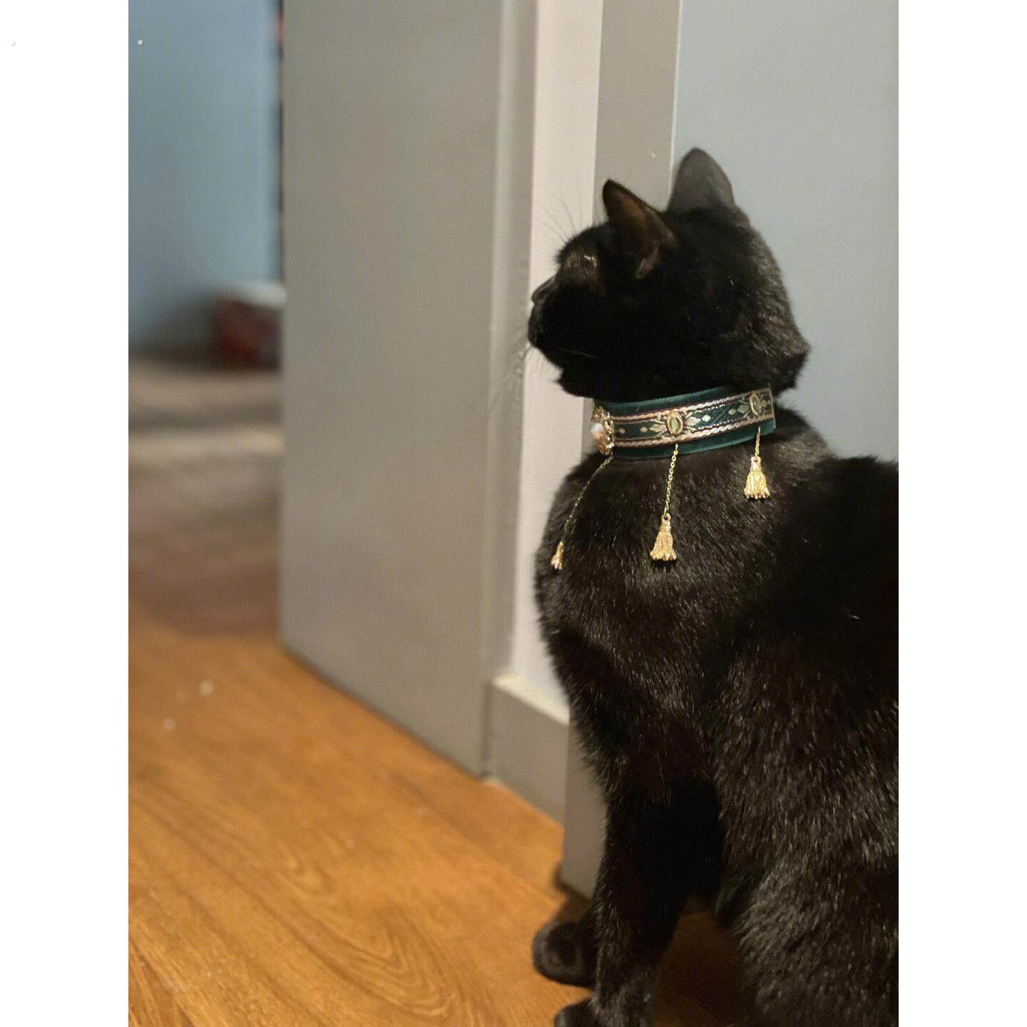 两长一短猫项圈猫项炼法老喵猫咪狗狗项圈皮质流苏颈圈宠物项炼