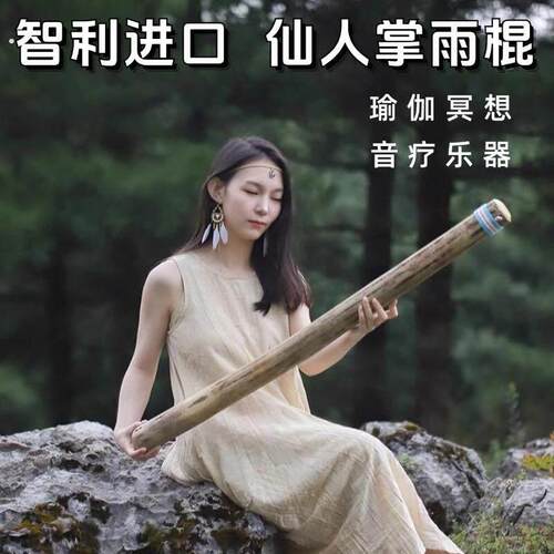 仙人掌雨棍雨声棒南美智利海浪拟声疗愈乐器冥想减压助睡眠