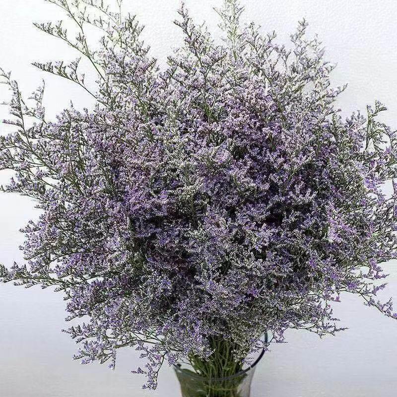 云南真花鲜花天然干花情人草配草轻奢家居装饰品干花花束客厅摆设