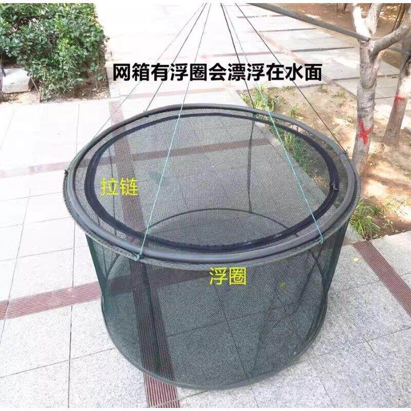 养殖网箱折叠养鱼锦鲤漂浮网圈鱼护病鱼隔离网箱可折叠装鱼护箱网