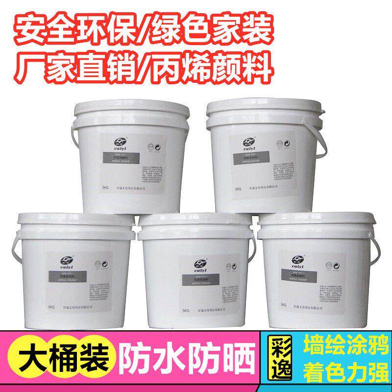 彩逸2公斤大桶丙烯颜料墙绘手绘外墙假山涂鸦彩绘防水不掉色彩绘