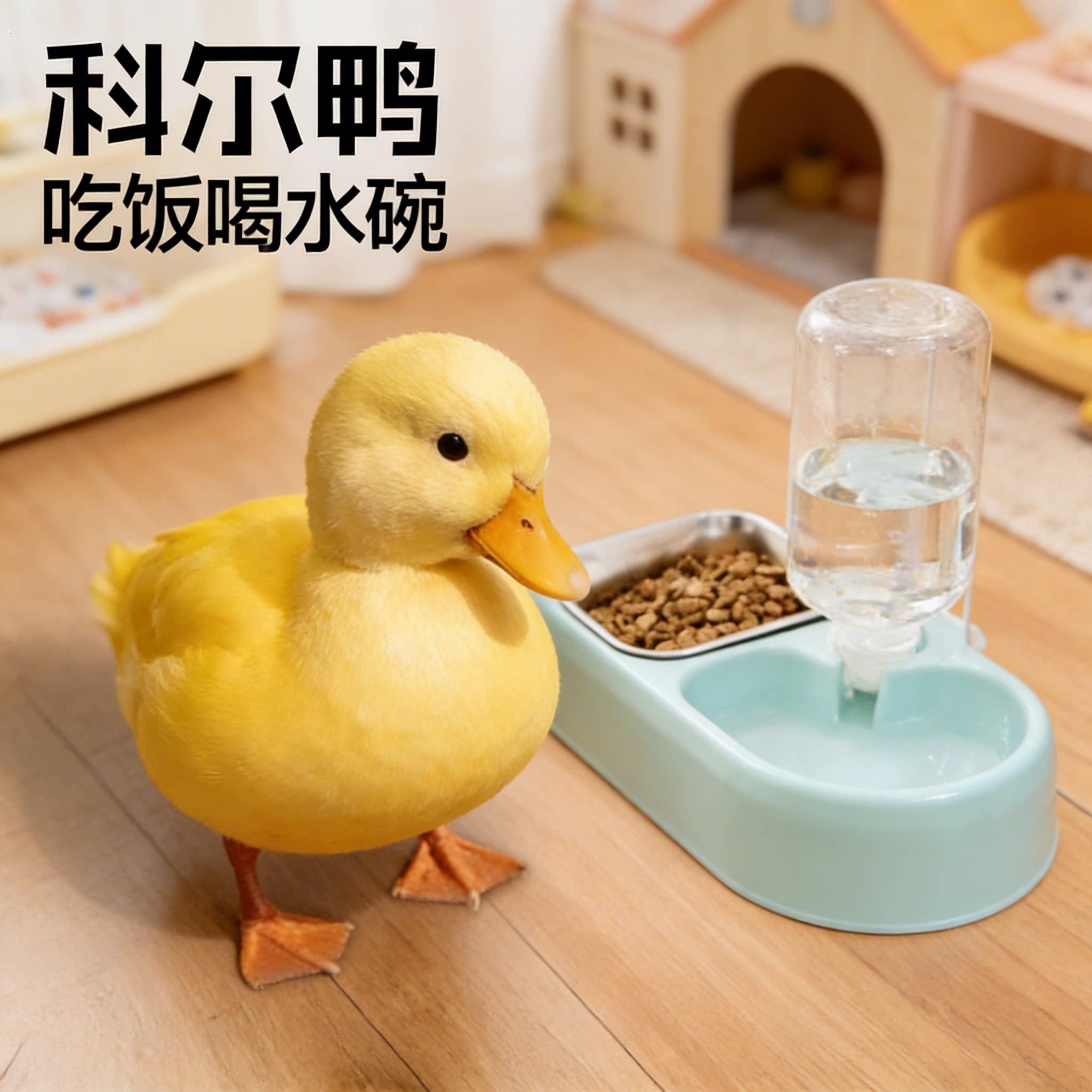 宠物用品鸭子喂食器小号悬挂笼子式宠物碗小鸡鸽子幼鸟食槽自动喂