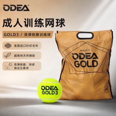 欧帝尔无压耐打训练网球60粒