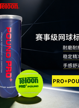 天龙网球POUND PRO+高弹耐打ITF世界网球P3高弹专业比赛训练球