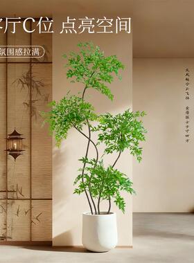仿真绿植装饰假南天竹室内盆栽大型落地摆件客厅高端轻奢仿生植物