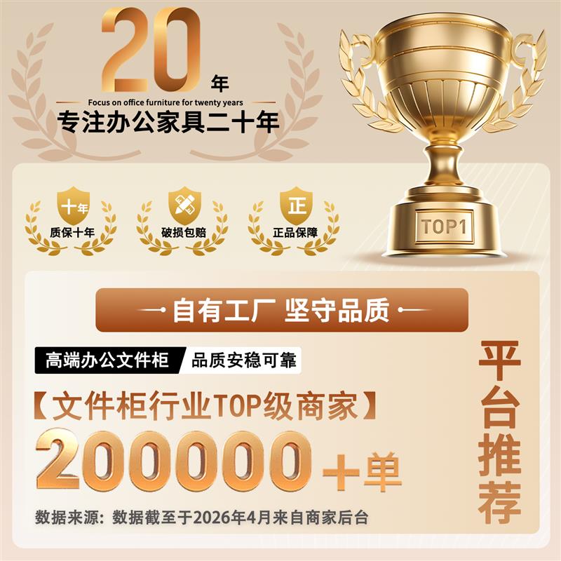 钢制办公铁皮柜文件柜多层资料柜收纳柜财务凭证柜档案柜矮柜带锁